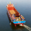 Robust Multi-Functional Container Vessel for Cargo Shipping Operations