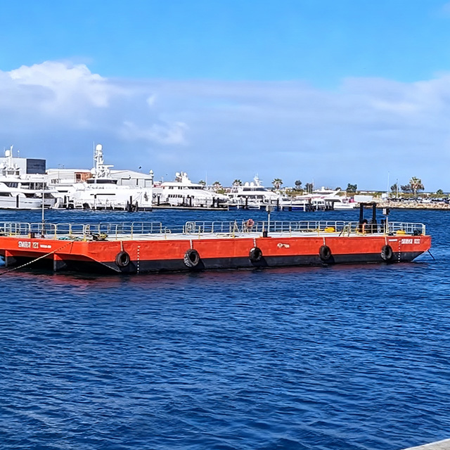 Luxury Pontoon Boat for Fishing, Cruising And Water Sports