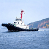 Versatile Harbor Tug for Enhanced Shipping and Docking Efficiency