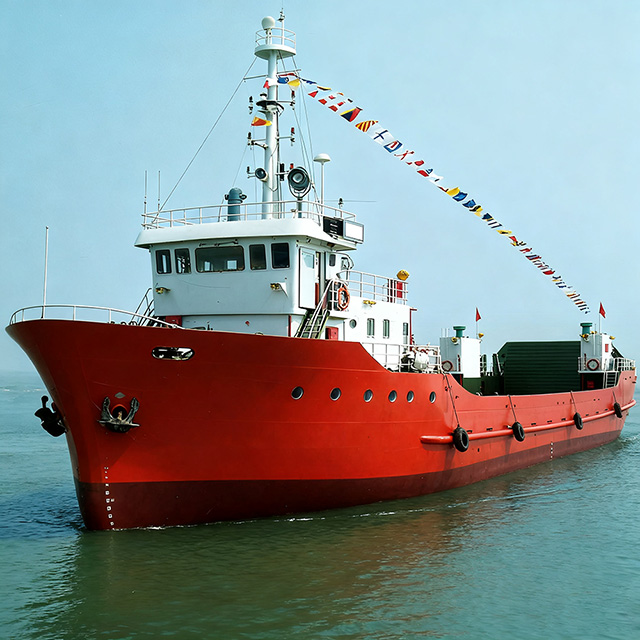 Versatile Roro Ship for Safe And Fast Cargo Handling