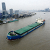 Small General Cargo Ship for Sale | 3000–8000 DWT Cargo Vessel