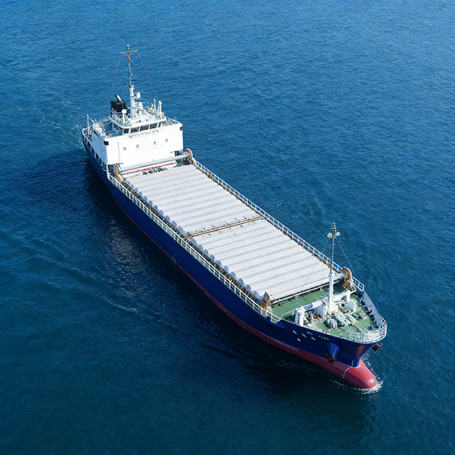 River & Sea Bulk Carrier Vessel | Bulk Cargo Ship Builder