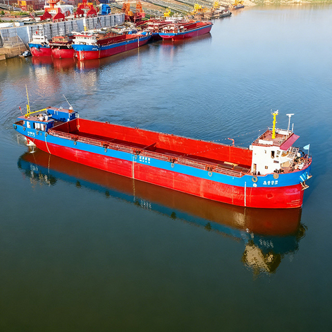 Robust Multi-Functional Container Vessel for Cargo Shipping Operations