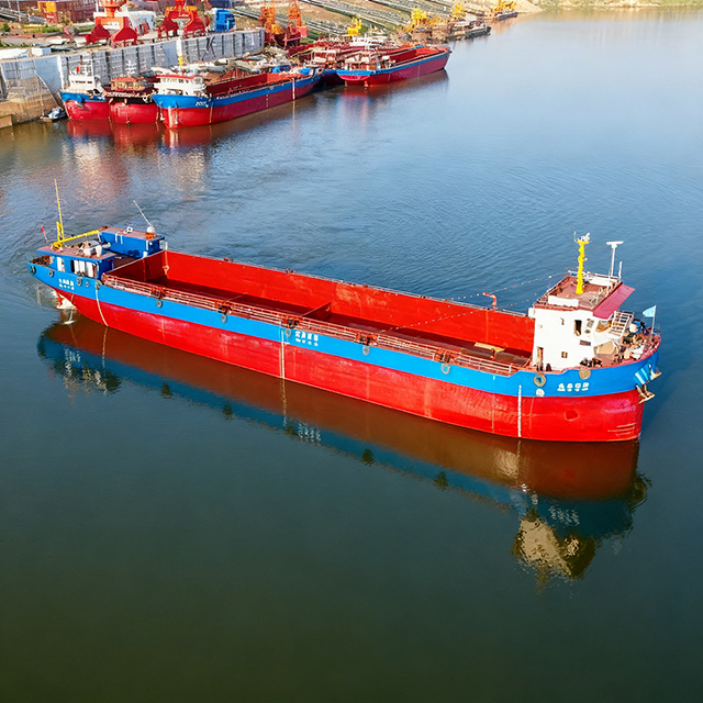 Robust Multi-Functional Container Vessel for Cargo Shipping Operations