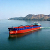 Inland Bulk Carrier | River Bulk Cargo Ship | Shallow-Draft Inland Waterway Bulk Vessel