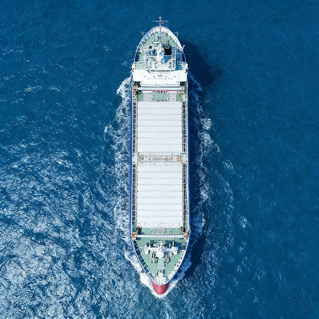 River & Sea Bulk Carrier Vessel | Bulk Cargo Ship Builder